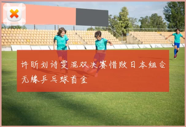 许昕刘诗雯混双决赛惜败日本组合无缘乒乓球首金