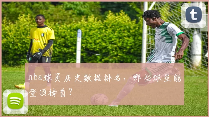 nba球员历史数据排名,哪些球星能登顶榜首?