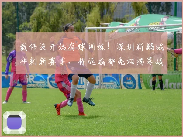 戴伟浚开始有球训练!深圳新鹏城冲刺新赛季,将返成都亮相揭幕战